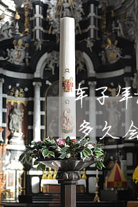 车子年检逾期多久会被报废-车子年检逾期多久会被报废掉