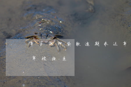 车子抵押贷款逾期未还(车抵押贷款没有逾期车被拖走)