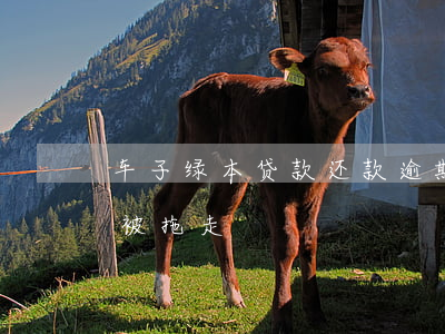 车子绿本贷款还款逾期(车贷压绿本逾期后车被拖走)