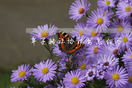 车子转让协议书怎么写