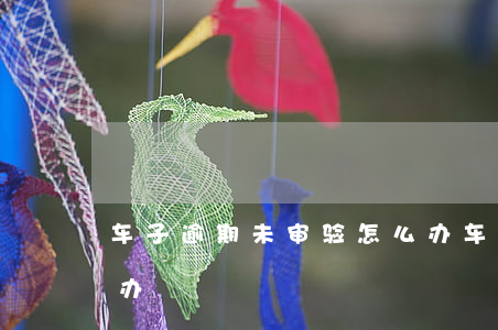 车子逾期未审验怎么办(车子逾期未审验怎么办)
