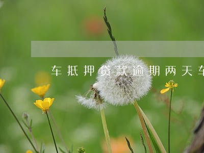 车抵押贷款逾期两天(车辆抵押贷款逾期)