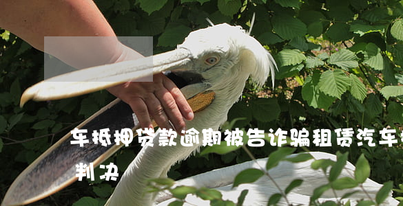 车抵押贷款逾期被告诈骗(租赁汽车抵押诈骗判决)