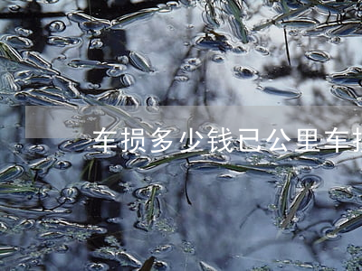 车损多少钱已公里(车损险大概多少钱)