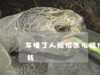 车撞了人赔偿怎么赔偿(被别人撞车了怎么赔钱)