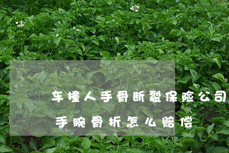 车撞人手骨断裂保险公司怎么赔偿(被车撞了手腕骨折怎么赔偿)