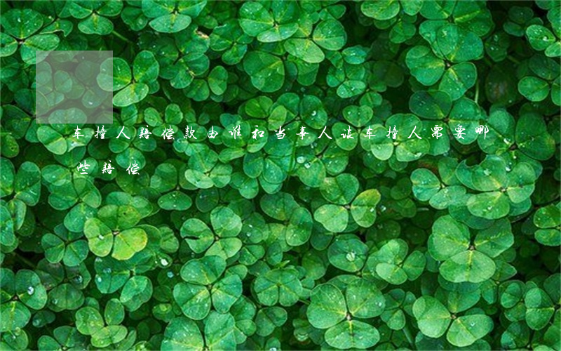 车撞人赔偿款由谁和当事人谈(车撞人需要哪些赔偿)