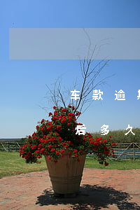 车款逾期被起诉法院能直接扣车吗(法院起诉后多久扣车)