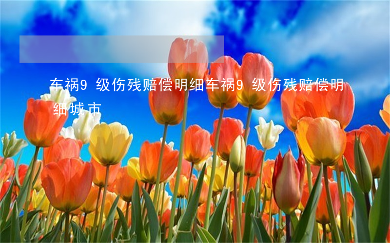 车祸9级伤残赔偿明细(车祸9级伤残赔偿明细城市)