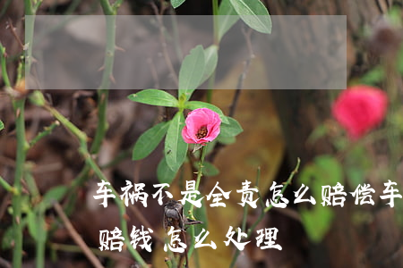 车祸不是全责怎么赔偿(车祸对方全责对方不赔钱怎么处理)