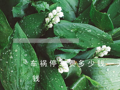 车祸停车费多少钱一天(事故停车费一天多少钱)