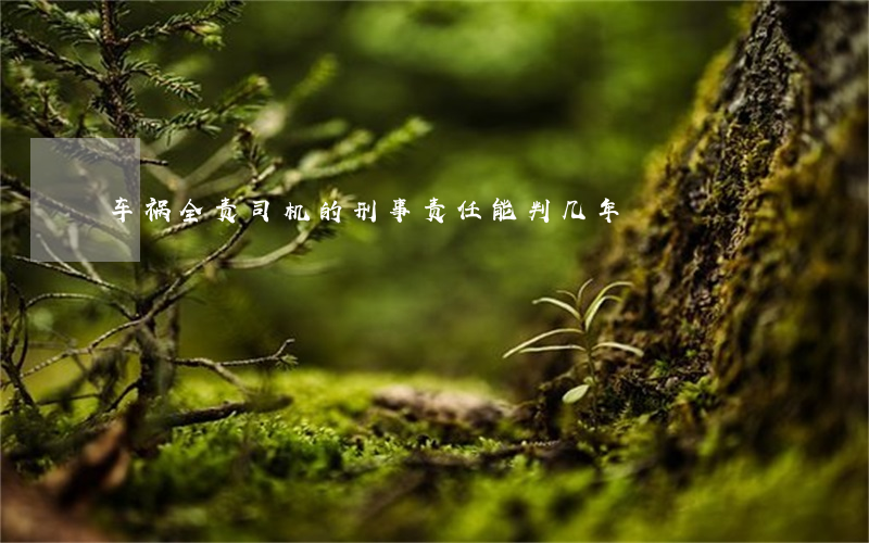 车祸全责司机的刑事责任能判几年