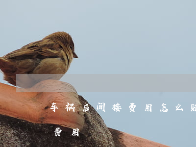 车祸后间接费用怎么赔偿(车祸出院后的补偿费用)