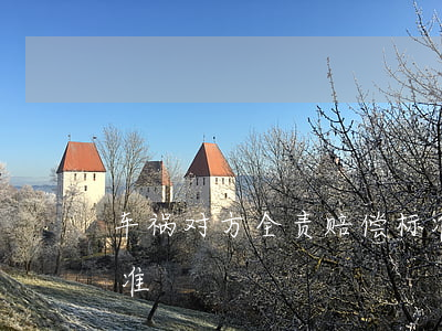 车祸对方全责赔偿标准(交通事故全责赔偿标准)