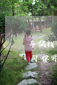 车祸找律师打官司费用是怎么收的(车祸打官司律师费谁出诉讼费谁出)