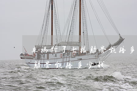 车祸断了七根肋骨能赔多少钱(车祸断了七根肋骨能赔多少钱)