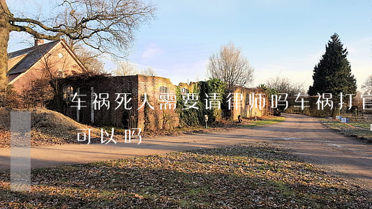 车祸死人需要请律师吗(车祸打官司不请律师可以吗)