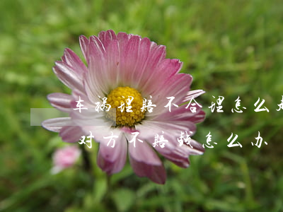 车祸理赔不合理怎么起诉(交通事故如果起诉对方不赔钱怎么办)
