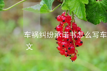 车祸纠纷承诺书怎么写(车祸诉讼书怎么写范文)