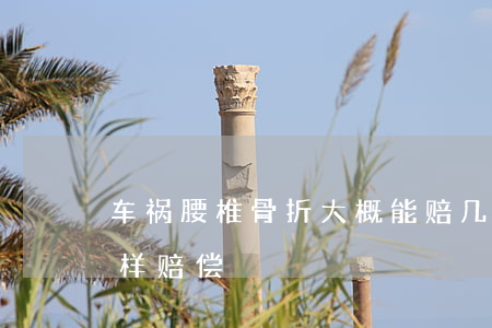 车祸腰椎骨折大概能赔几万(事故腰椎骨折怎样赔偿)