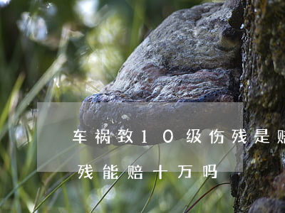 车祸致10级伤残是赔多少钱(车祸10级伤残能赔十万吗)