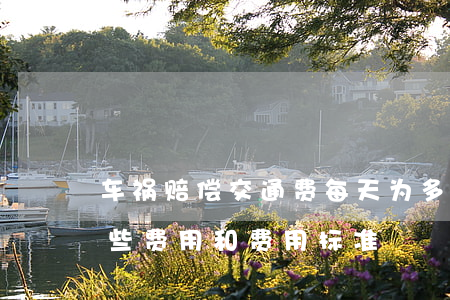 车祸赔偿交通费每天为多少钱(车祸赔偿有哪些费用,和费用标准)