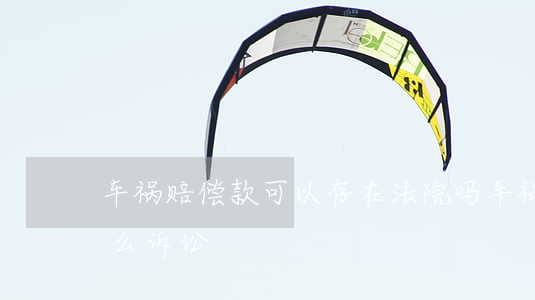 车祸赔偿款可以存在法院吗(车祸赔偿属于什么诉讼)