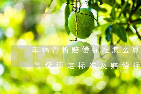 车祸骨折赔偿标准怎么算赔偿(车祸骨折伤残等级评定标准及赔偿标准)