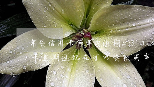 车贷信用卡俩年内逾期20几次(两年前信用卡逾期过,现在可以贷款买车吗)