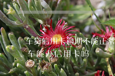车贷信用卡逾期不能正常使用(征信有逾期有车能办信用卡吗)