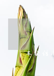 车贷信用卡逾期工商 工商车贷卡逾期一年多