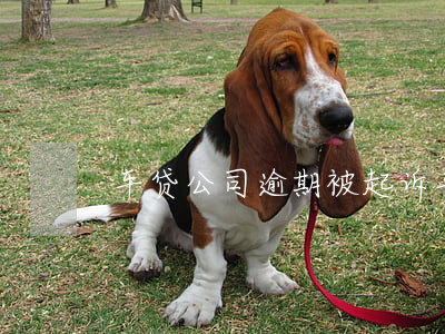 车贷公司逾期被起诉(车贷逾期被诉讼)