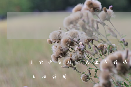 车贷卡逾期一天上征信吗（卡卡贷逾期一天会上征信吗）
