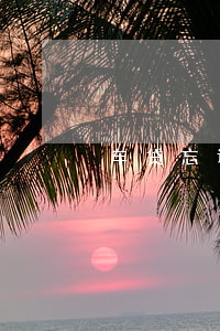 车贷忘记还款两天算逾期吗(车贷两天没还)