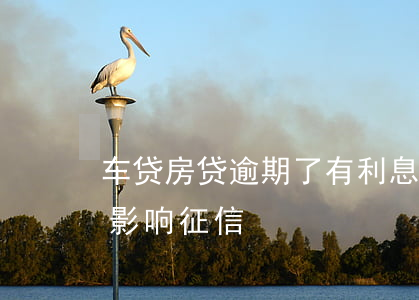 车贷房贷逾期了有利息吗(房贷车贷逾期多久影响征信)