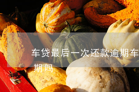 车贷最后一次还款逾期(车贷第二天还款算逾期吗)