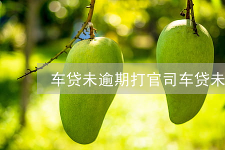 车贷未逾期打官司(车贷未逾期打官司)