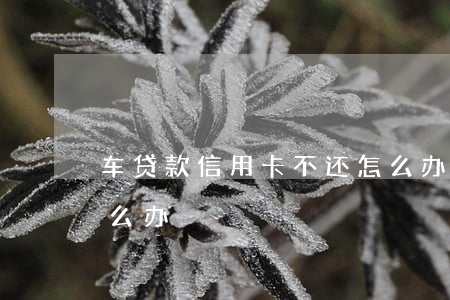 车贷款信用卡不还怎么办(信用卡车贷还完怎么办)