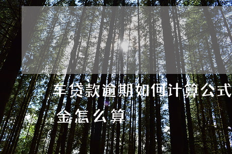 车贷款逾期如何计算公式(车贷逾期半年违约金怎么算)
