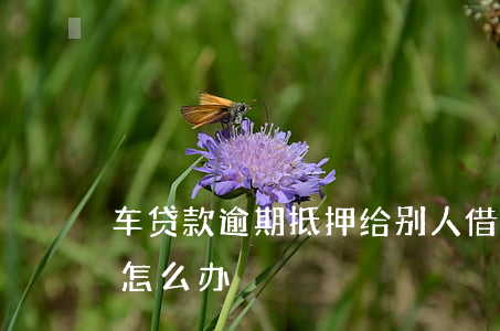 车贷款逾期抵押给别人(借款抵押车逾期后车怎么办)
