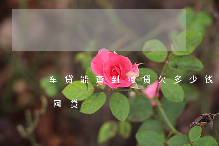 车贷能查到网贷欠多少钱吗(车贷的话查不查网贷)