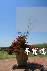 车贷过几天是逾期(车贷逾期几天有事吗)
