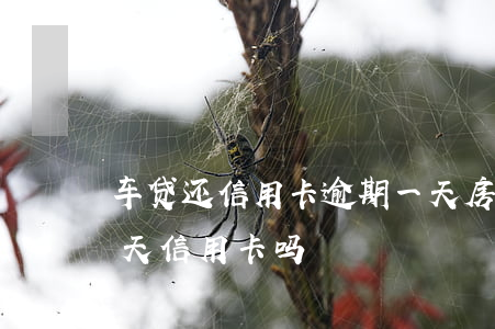 车贷还信用卡逾期一天（房贷还贷款逾期了一天信用卡吗）