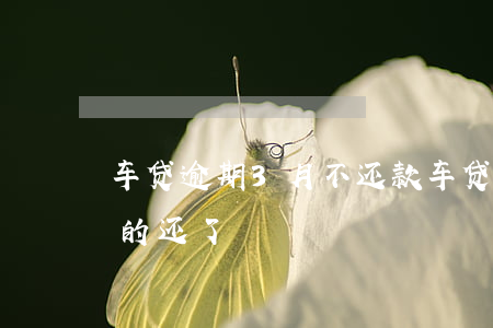 车贷逾期3月不还款(车贷逾期之后又把逾期的还了)