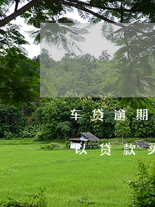 车贷逾期3次影响房贷吗(车贷逾期两次还可以贷款买房子了吗)