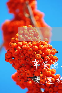 车贷逾期4天要交违约金-车贷逾期4天要交违约金合法吗