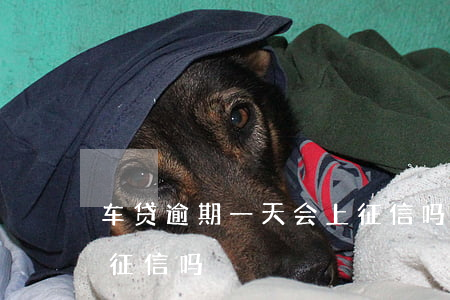 车贷逾期一天会上征信吗(车贷逾期一天会上征信吗?)