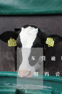 车贷逾期一天影响房贷么(车贷晚还一天算逾期吗?会影响买房)