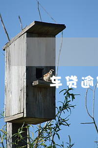 车贷逾期三个月以上还款能协商吗