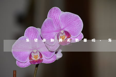 车贷逾期两天有事吗-车贷不小心逾期两天